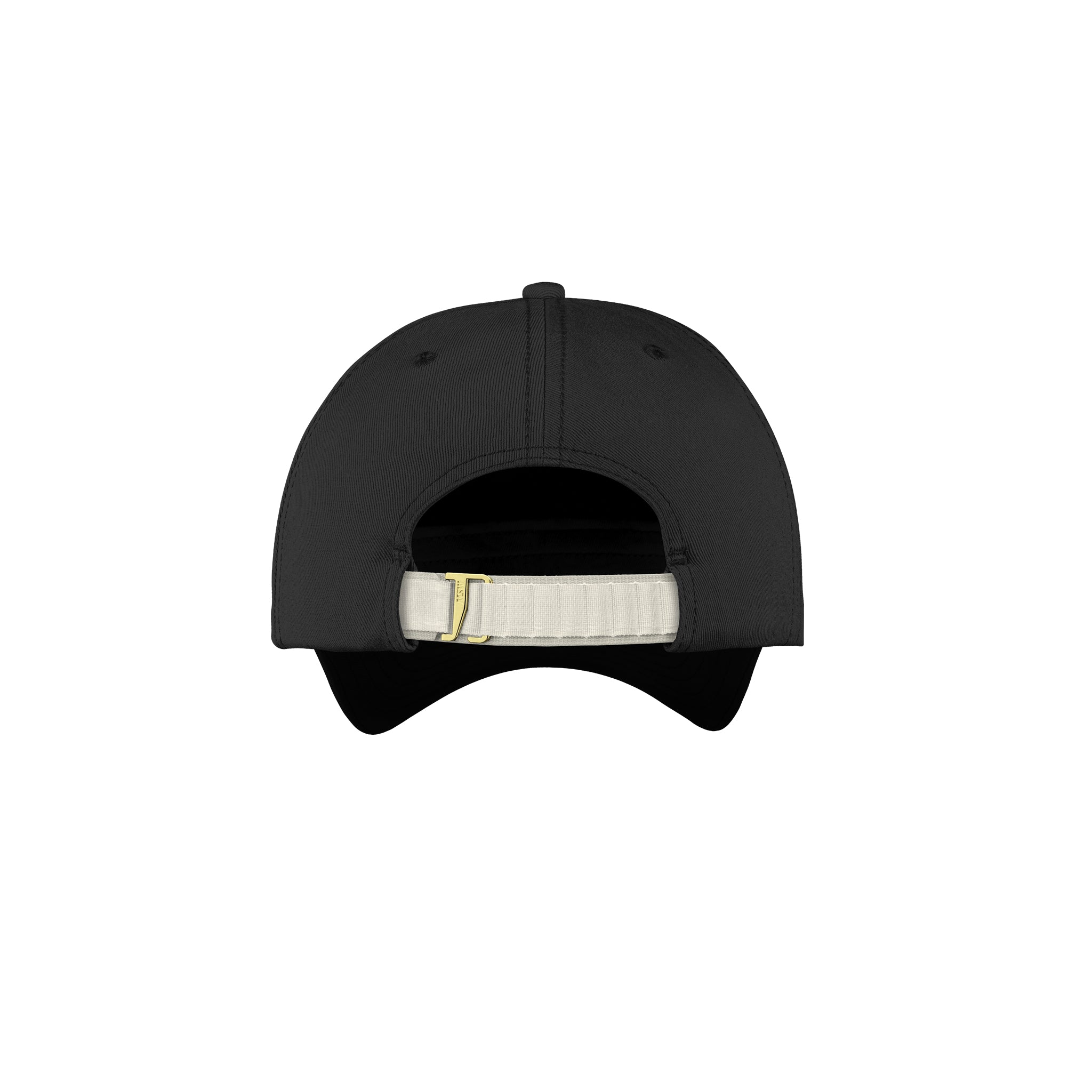 MSW Dad Cap + Hook Strap