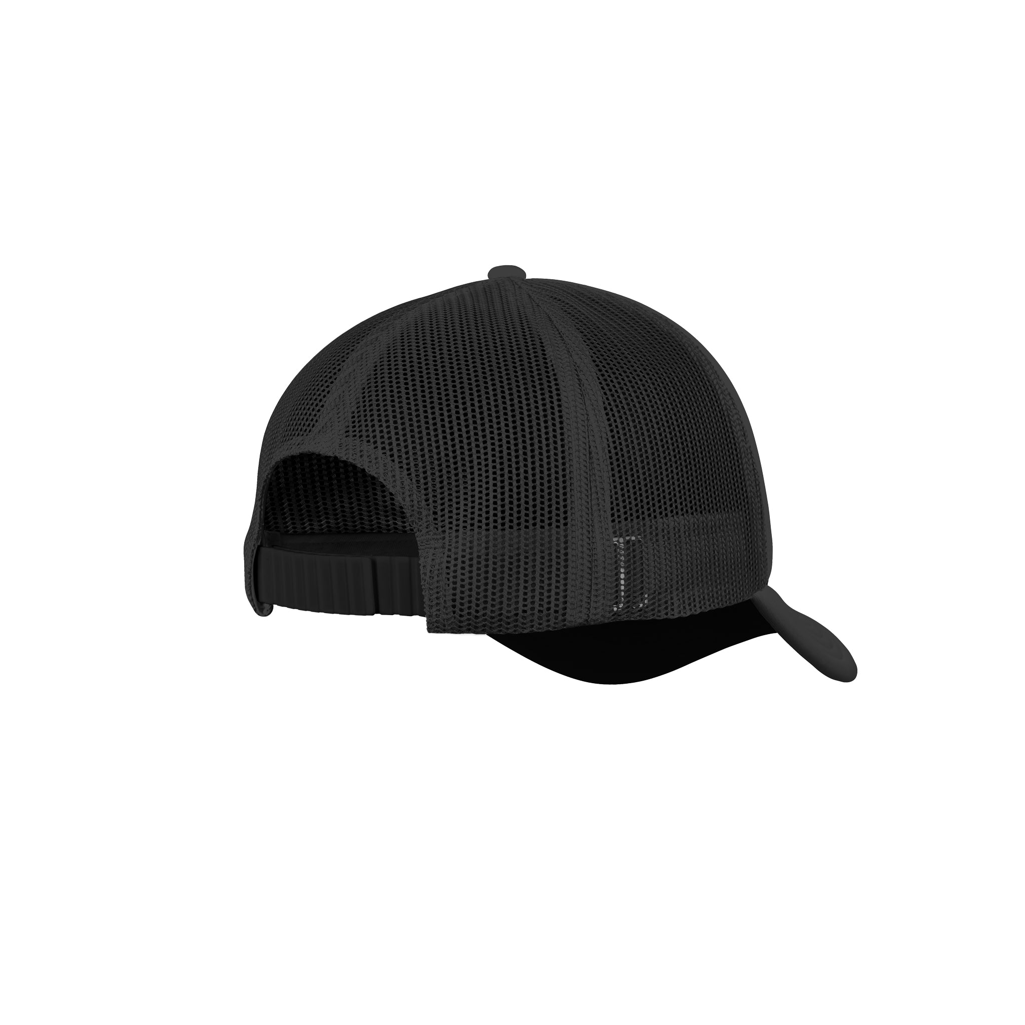 MSW Cap + Strap