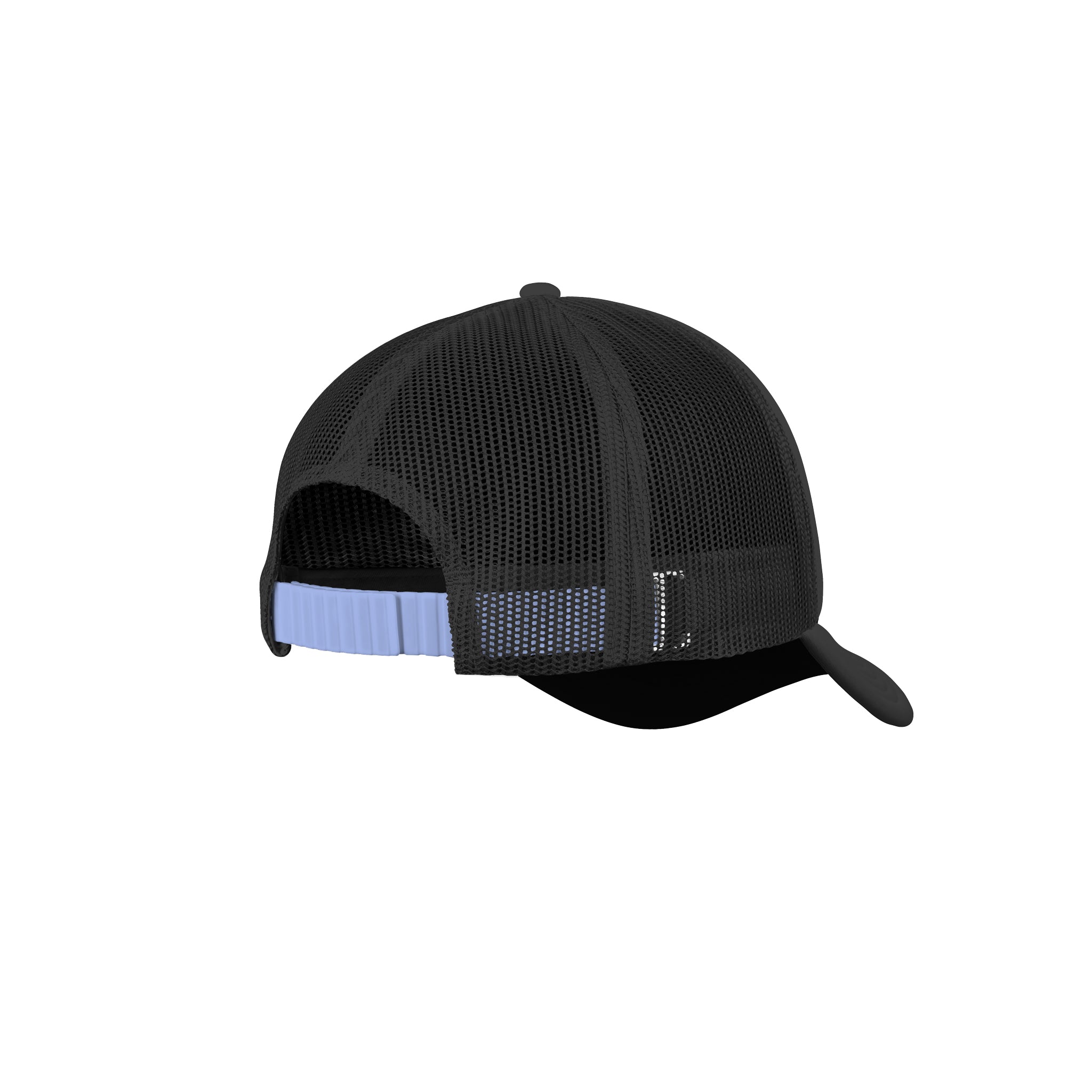 MSW Cap + Strap
